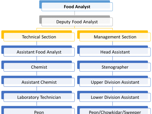 Organization Chart